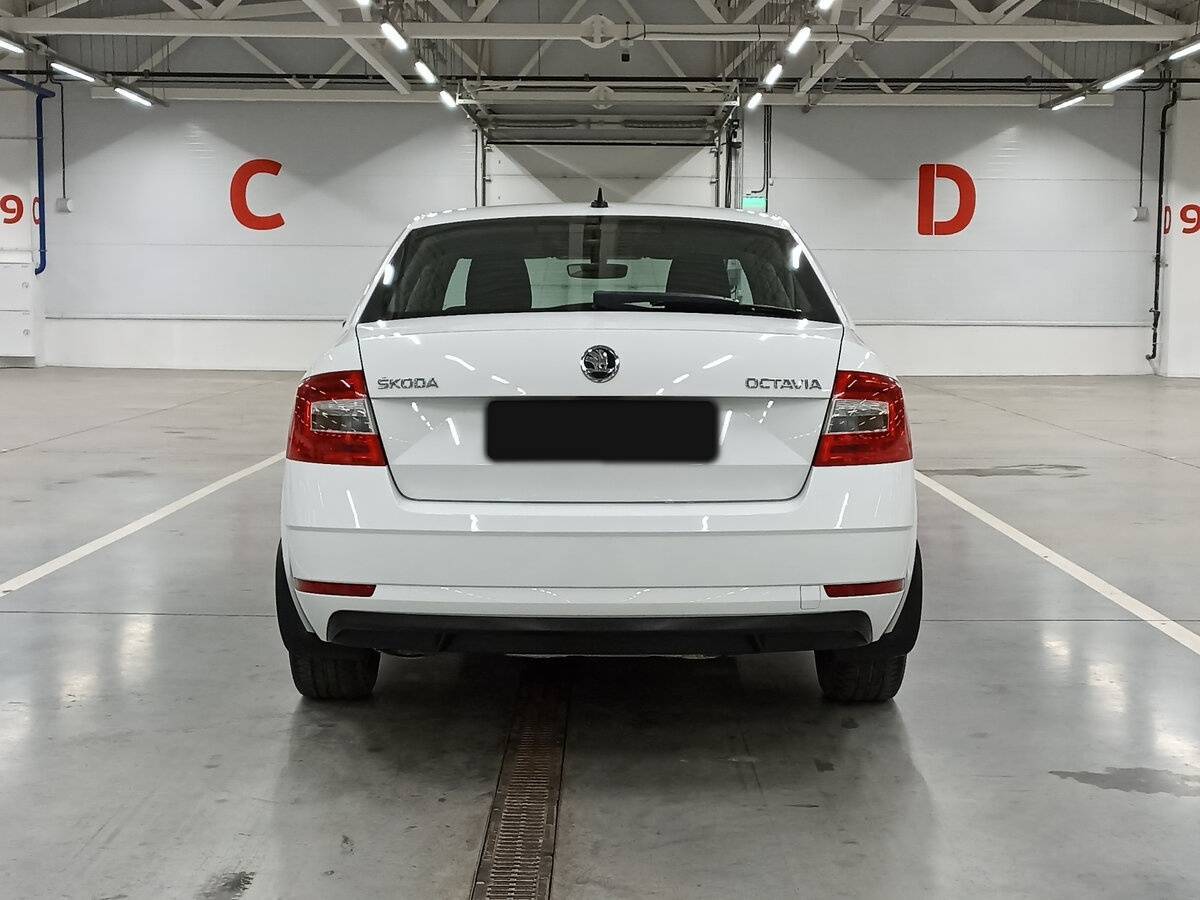 Skoda Octavia 2019 года с пробегом. Фото: #5