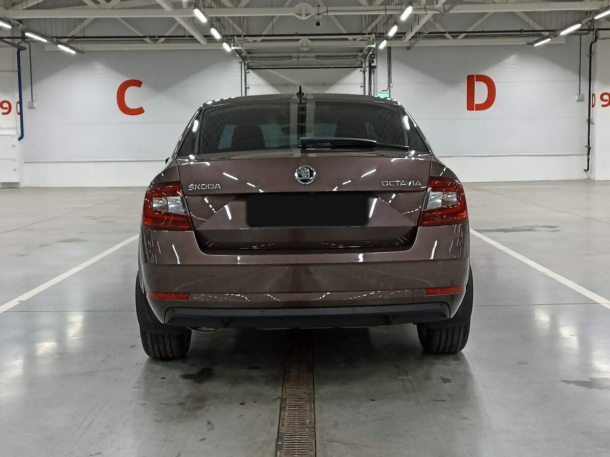 Skoda Octavia 2018 года с пробегом. Фото: #5